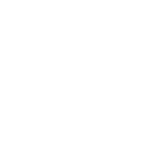 Play Icon